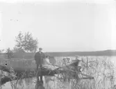 Grupporträtt, sällskap i eka vid sjön Åmänningen?