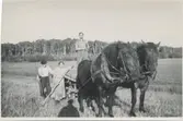 Höbärgning 1940-tal. Från vänster Anders (1873-1951) och Hilda Sandberg (1887-1973) samt en okänd man, 