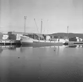 Fartyget Mars vid kaj
