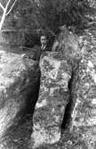 Pojke vid stenblock i Åbyn, Hamrånge, där fynd av glödpannan (GM9699) gjordes på 1940-talet.