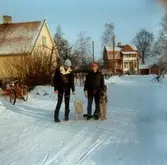 Pojkar med hundar, 1968