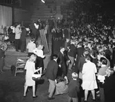 Popgala i Idrottshuset, 1964