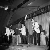 Javalines i Idrottshuset, 1964