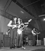Swinging Blue Jeans i Idrottshuset, 1964