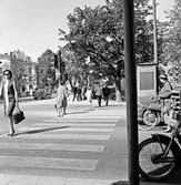 Övergångsställe, 1963