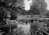 Damm i Stadsparken, 1950-tal