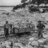 Hellvi socken, Hide, Gotland. Arbete i kalkbrottet i Hide. Två män står vid en vagn, på räls, som lastats med sten.