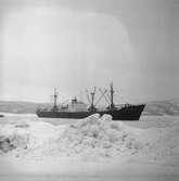 Fartyget Luise Leonhardt på Älven
