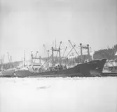 Fartyget Puerto de Huelva vid kaj
