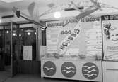 Segelflygets förbund ställer ut, 1941