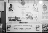Högerns ungdomsförbund ställer ut, 1941