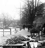 Marknad på fisktorget, 1920-tal