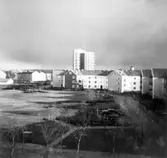 Vy från 3:e våningen i Rosta, 1950