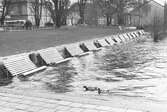 Vårflod vid Centralparken, 1977