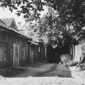 Gårdsinteriör Kyrkogårdsgatan 11, 1956