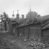 Baksidan av huslängan på Kyrkogårdsgatan 26, 1954