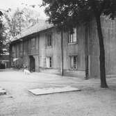 Barn och hund på gården Köpmangatan 32,34, 1953