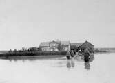 Familj vadar i vattenmassorna i lokal översvämning i Stora Mellösa, 1910-08-03