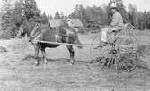 Ivar Lindqvist förevisar hästräfsa i Röhammar, Stora Mellösa, 1920-tal