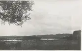 Vy från Sagåsen mot Sagsjön okänt årtal. Från Sagered-album.