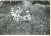 Fyra små barn sitter på en gräsmatta i Vommedal cirka 1941. Från vänster: Kerstin Waldt Gullberg. 2. Gunnar Waldt (1940-2002). 3. Olle Svensson (född 1934). 4. Olle Waldt (1937-1987).