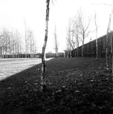 Troligen Odenplan (foto från gatukontoret).