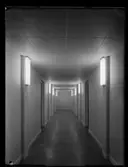 ARMATUR PÅ DIREKTÖR KONTOR