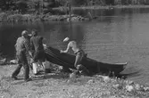 Fångsjön. Båtarna ska transporteras på bilsläp ner till Sporrsjön. Henrik Boman, Reidar Ragnarsson, Johan Wikström och Bernard Isaksson drar upp båten till bilsläpet.
