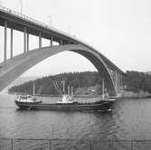 Fartyget Bothniaborg vid Sandöbron