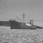 Fartyget Haga på Älven
