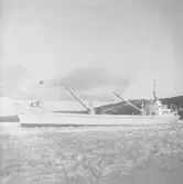 Fartyget Vega på Älven
