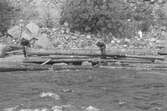 Ulriksfors. Ulf Nilsson och Harry Eneröd lossar bröten, som bildats direkt nedanför dammen.