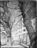 ARMFELTSGATAN 4
EXT.