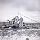 Pågående arbete med väderkvarnen i Sandvik, en av världens största väderkvarnar. Den är av holländsk typ. Ett 20-tal holländare finns idag bevarade på Öland. Denna återställdes.