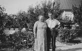 Mor och son i trädgården, 1940-tal