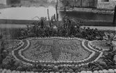 Kaktusplanteringen i Centralparken, 1920-tal