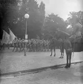 Livregementets grenadjärer praderar på Järntorget, 1940-tal