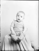 Ateljéporträtt - barn, Östhammar, Uppland