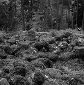 Fornlämning - Gravrösen. Ingaredsåsar