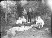 Picknick i skogsdunge, Östhammar, Uppland