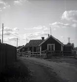 Hönseri. Man som står bredvid höns och ägg. Gunnarslund Ägg AB på norra Öland.