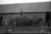 Ett hölass, draget av två hästar står redo att lassas in i ladan. På gården står kvinnor, män och barn tillsammans med en hund och ett föl. Ladugården är omålad och har sticktak (pärt).