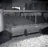 Interiör av potatiscentralen i Lilla Horn. Potatis i stora behållare.