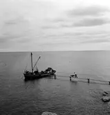 Sandskuta ute vid Solumshamn.