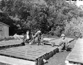 Trädgårdsarbetare vid drivbänkar med prydnadsväxtodling.