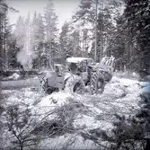 Skogsavverkning i Böda. Skogsmaskinen 