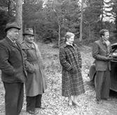 Dansbanan på första maj.