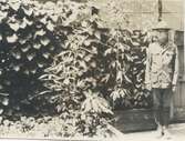 Robert Nelson (född 1908) poserar i scoutuniform i familjens trädgård, USA år 1922. Son till Carl Nelson (född i Sverige, död i USA) och Alma Nelson (född 1881 i Kållered - död 1959 i USA). Dotter till Karl och Alida Eriksson från Vommedal Östergård 