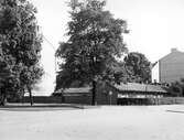 Köttbesiktningsbyrån i Örebro, 1953