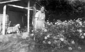 Fatima Pettersson i trädgården på Kungsgatan 30, 1950-tal